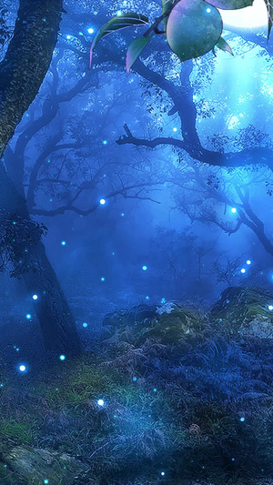 梦幻神秘森林粒子背景视频梦幻森林20秒视频
