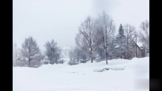 【合集】冬天大雪雪地意境视频
