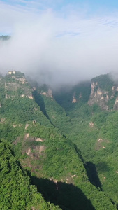 甘肃平凉崆峒山夏季云海5A景区视频