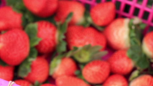 水果草莓[生果]视频