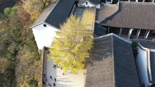 南岳衡山秋景视频