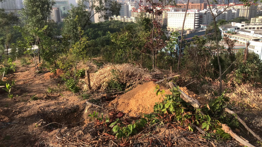 城市山地开发视频