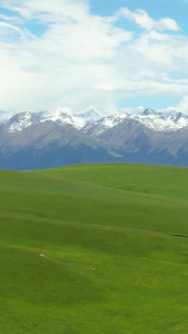 航拍5A景区喀拉峻夏季绿色草原与天山山脉雪山风光视频旅游景区视频