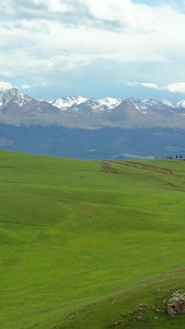 航拍5A景区喀拉峻夏季绿色草原与天山山脉雪山风光视频旅游景区视频