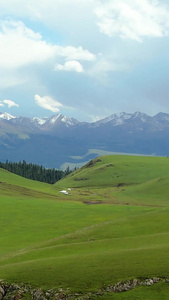 航拍5A景区喀拉峻夏季绿色草原与天山山脉雪山风光视频新疆旅游视频