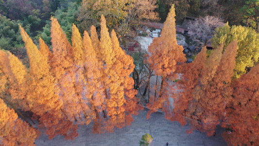 南岳衡山秋景视频