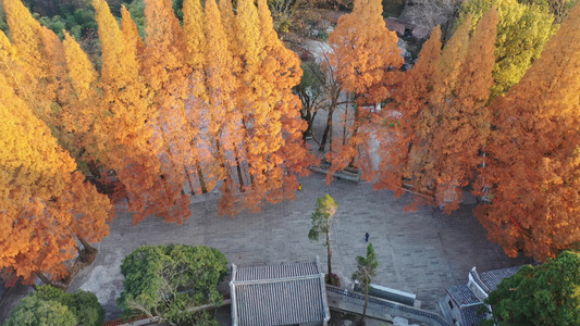 南岳衡山秋景视频