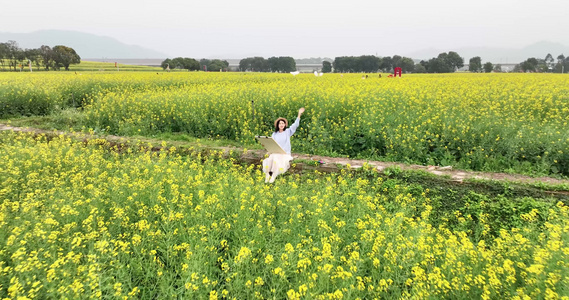 油菜花花海中的少女视频