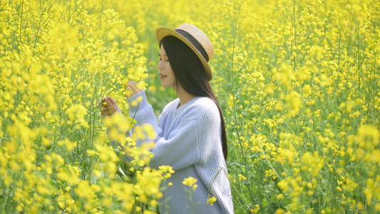 油菜花花海中的少女视频