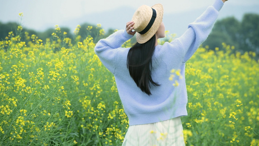 油菜花花海中的少女视频