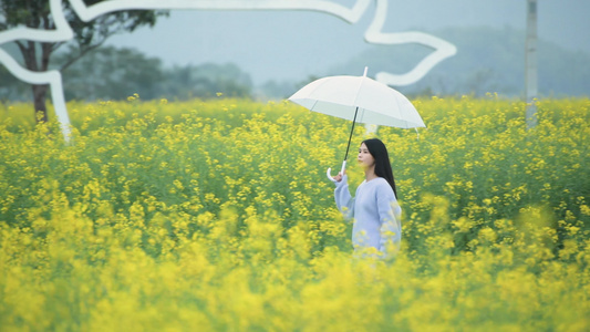 油菜花花海中的少女视频