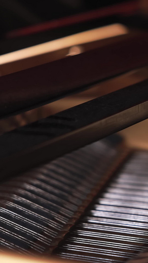 钢琴内部构造特写调音钉36秒视频