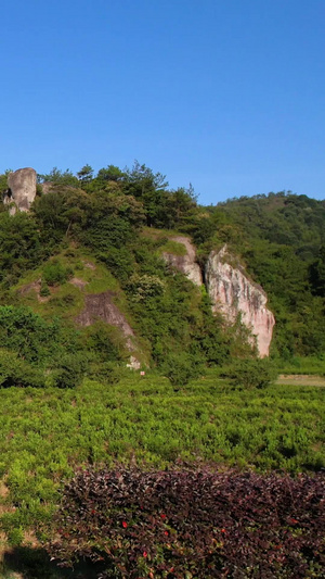 5A景区缙云仙都倪翁洞景观区航拍视频旅游目的地44秒视频