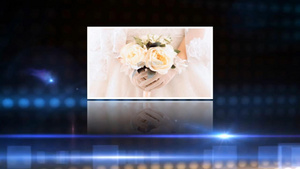 七夕节情人节唯美光效婚礼图片展示纪念相册会声会影X10模板250秒视频