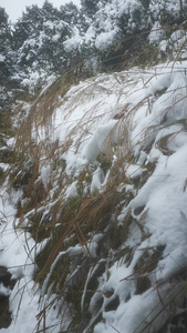 航拍冬天雪景视频