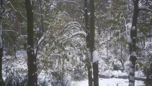 航拍冬天雪景视频