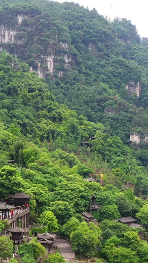 航拍三峡人家巴王寨4A景区15秒视频