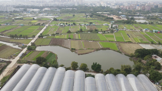 农业种植基地航拍视频