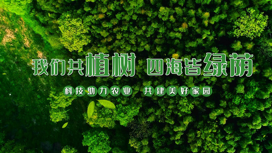 简洁3月12日植树节节日宣传片头展示视频