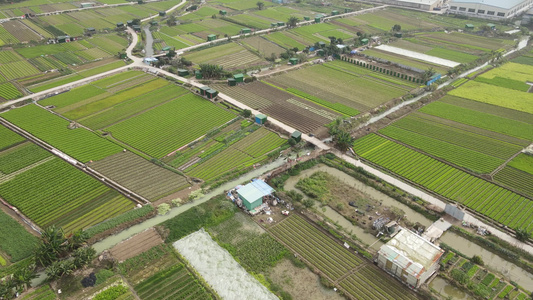 农业种植基地航拍视频