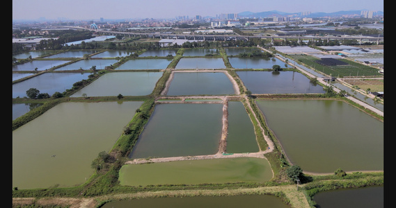 4k佛山农场视频