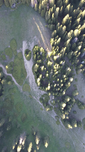 新疆赛里木湖自然风光4k航拍视频