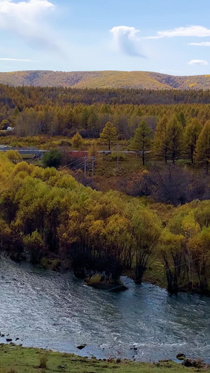 内蒙古阿尔山秋色实拍实拍5A景区21秒视频