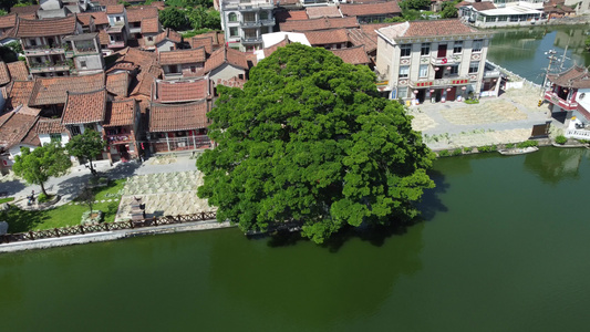 古村落 古村 古建筑 湖边古村航拍视频