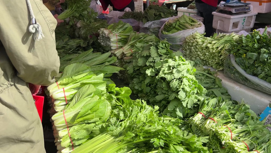 买菜绿叶菜蔬菜菜市场百姓生活赶大集视频