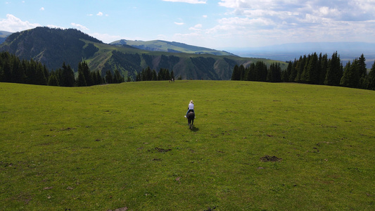 航拍新疆蓝天白云大草原上骑马驰骋的少女背影自然风光4k素材视频