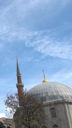 土耳其索菲亚大教堂合集伊斯坦布尔91秒视频