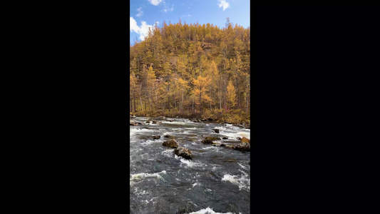 内蒙古著名旅游景区阿尔山石塘林自然风光视频视频