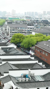 下雨天的绍兴仓桥直街景区合集视频