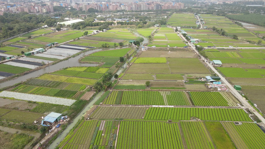 农业种植基地航拍视频