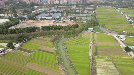 农业种植基地航拍视频