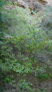 红旗渠青年洞风景区国家水利风景区视频