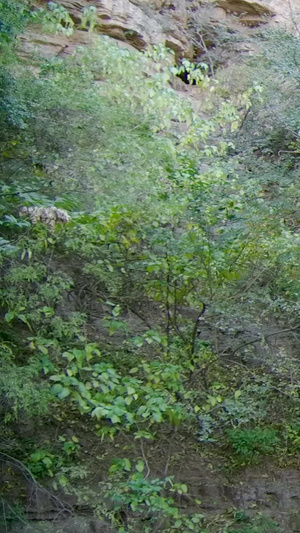 红旗渠青年洞风景区国家水利风景区76秒视频