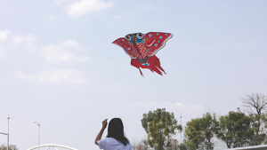 女性春游玩耍带着风筝跑的人20秒视频