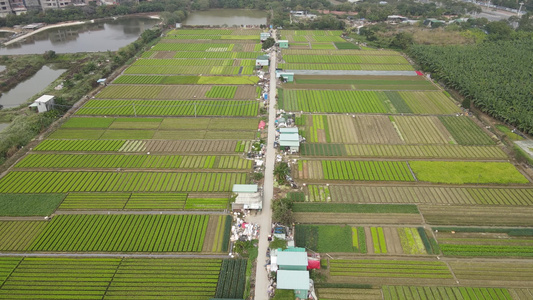 农业种植基地航拍视频