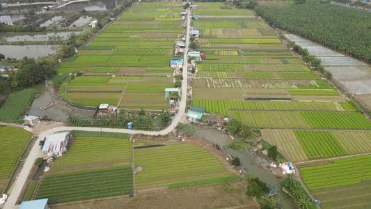 农业种植基地航拍视频