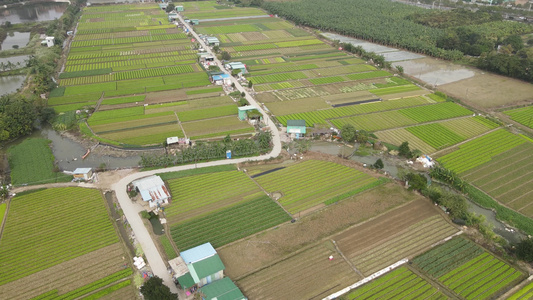 农业种植基地航拍视频