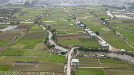 农业种植基地航拍视频