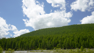 森林山丘延时10秒视频