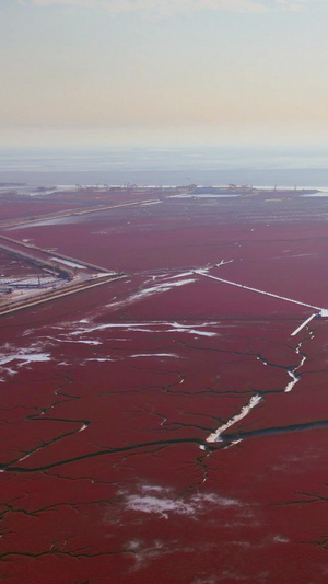 红海滩国家风景廊道湿地5A级风景区国庆游客红旗繁衍生长77秒视频