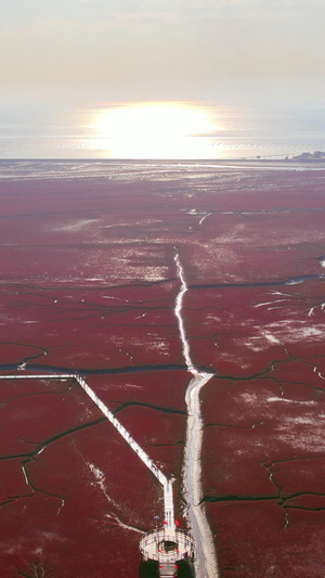 红海滩国家风景廊道湿地5A级风景区国庆游客红旗自然环境77秒视频