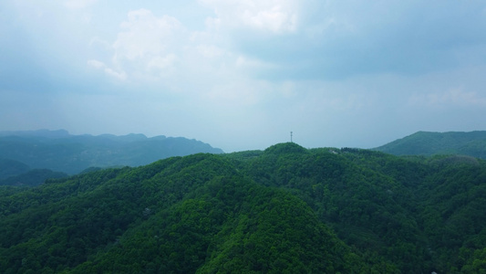 绿色山顶基站视频