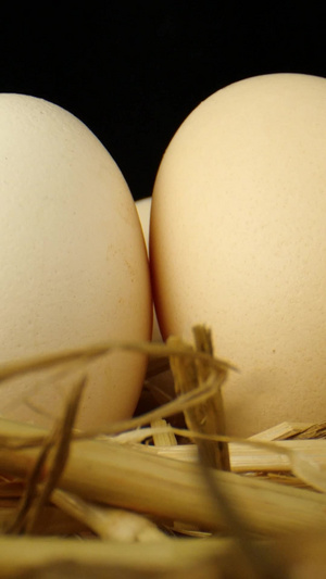 鸡蛋土鸡蛋干草蛋黄散养鸡蛋干草鸡蛋窝23秒视频