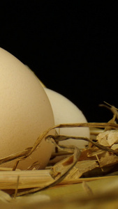 鸡蛋土鸡蛋干草蛋黄散养鸡蛋农家鸡蛋视频