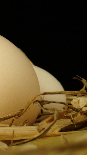 鸡蛋土鸡蛋干草蛋黄散养鸡蛋农家鸡蛋23秒视频
