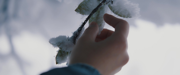 女生手抚摸雪枝[冬竹]视频